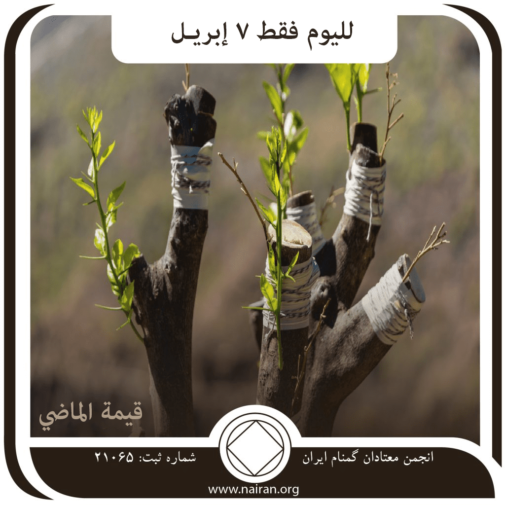 قيمة الماضي