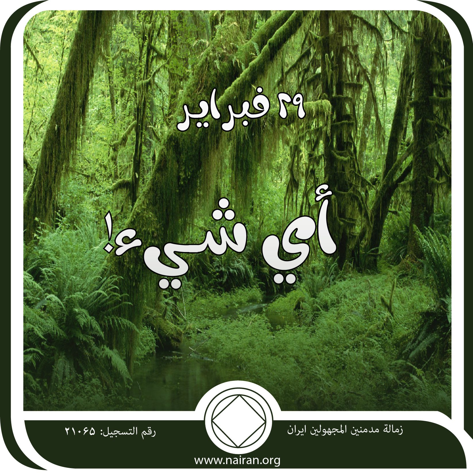 أي شـيء!